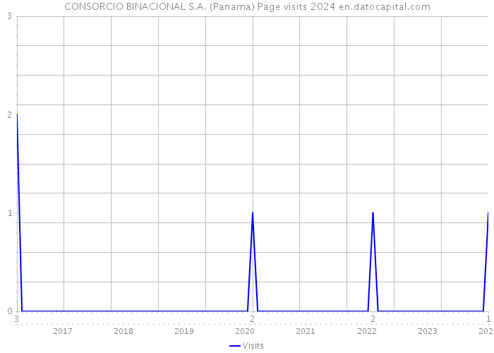 CONSORCIO BINACIONAL S.A. (Panama) Page visits 2024 