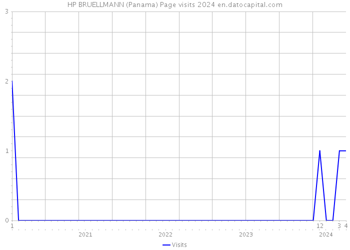 HP BRUELLMANN (Panama) Page visits 2024 
