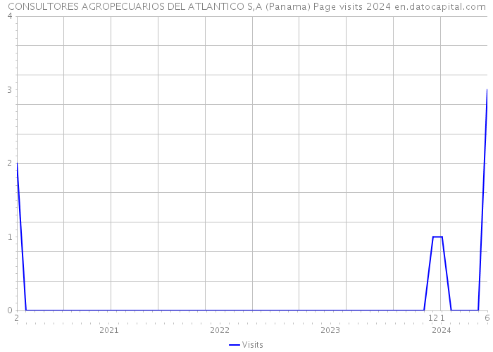 CONSULTORES AGROPECUARIOS DEL ATLANTICO S,A (Panama) Page visits 2024 