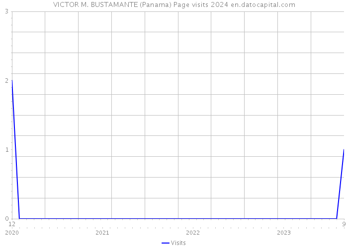 VICTOR M. BUSTAMANTE (Panama) Page visits 2024 