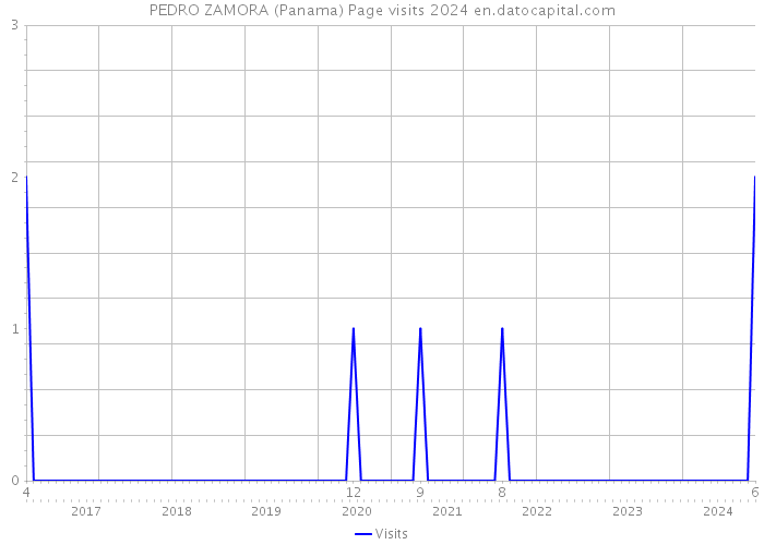 PEDRO ZAMORA (Panama) Page visits 2024 