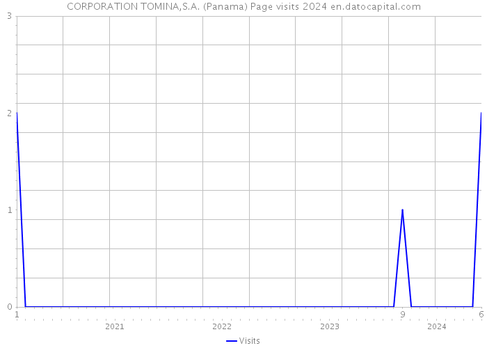 CORPORATION TOMINA,S.A. (Panama) Page visits 2024 