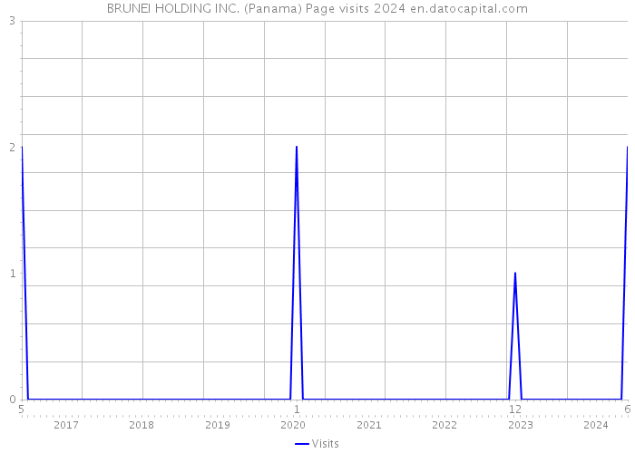 BRUNEI HOLDING INC. (Panama) Page visits 2024 