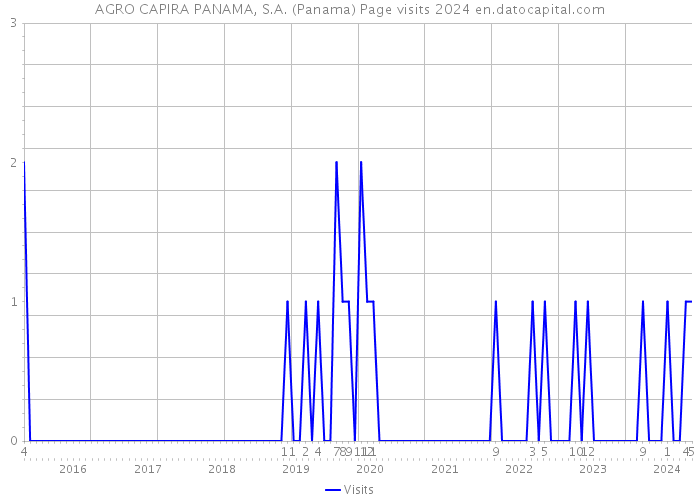 AGRO CAPIRA PANAMA, S.A. (Panama) Page visits 2024 