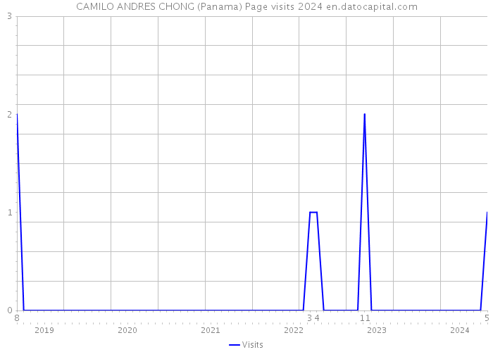 CAMILO ANDRES CHONG (Panama) Page visits 2024 