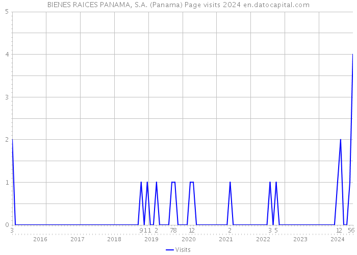 BIENES RAICES PANAMA, S.A. (Panama) Page visits 2024 