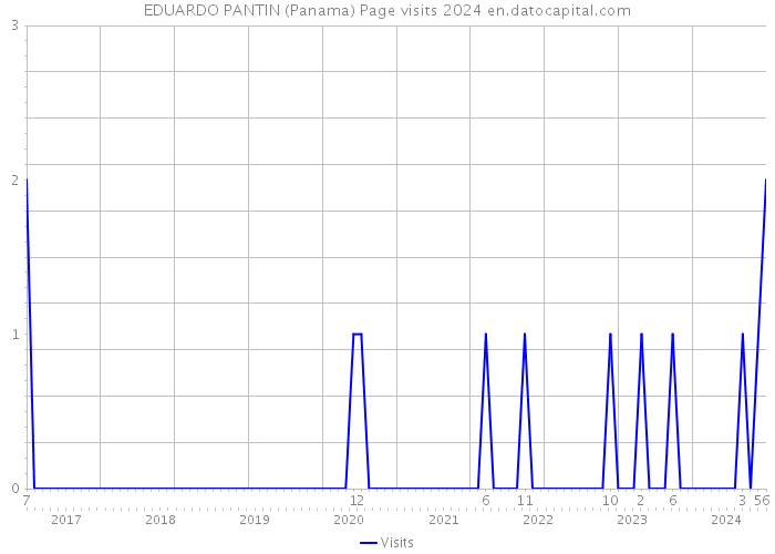 EDUARDO PANTIN (Panama) Page visits 2024 