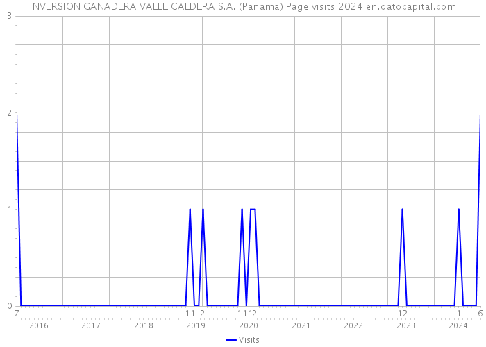 INVERSION GANADERA VALLE CALDERA S.A. (Panama) Page visits 2024 