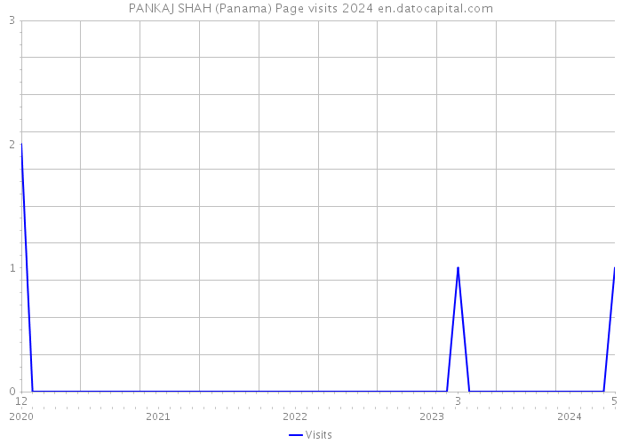 PANKAJ SHAH (Panama) Page visits 2024 