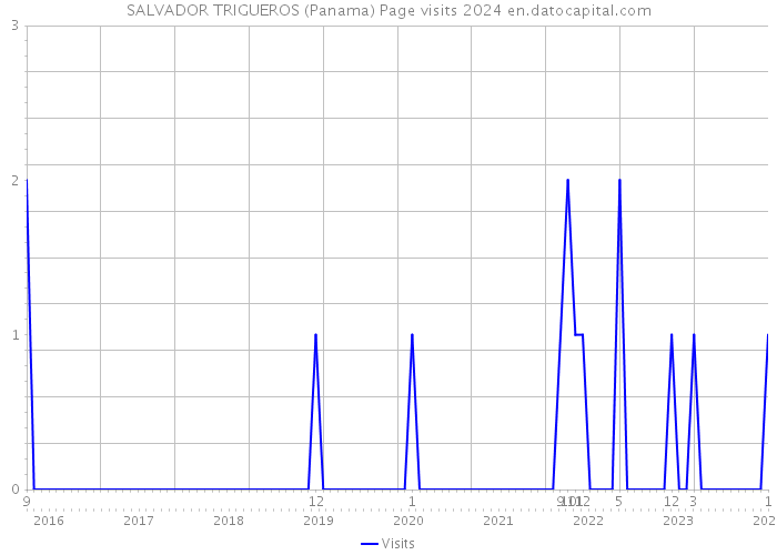 SALVADOR TRIGUEROS (Panama) Page visits 2024 