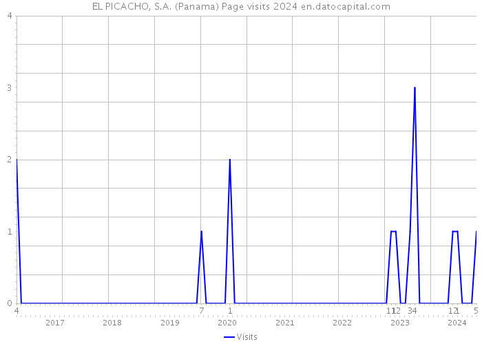 EL PICACHO, S.A. (Panama) Page visits 2024 