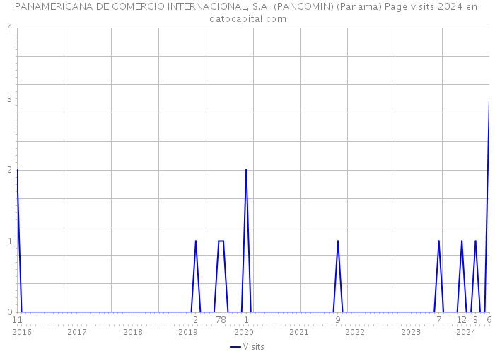 PANAMERICANA DE COMERCIO INTERNACIONAL, S.A. (PANCOMIN) (Panama) Page visits 2024 