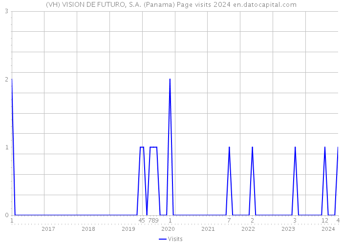 (VH) VISION DE FUTURO, S.A. (Panama) Page visits 2024 