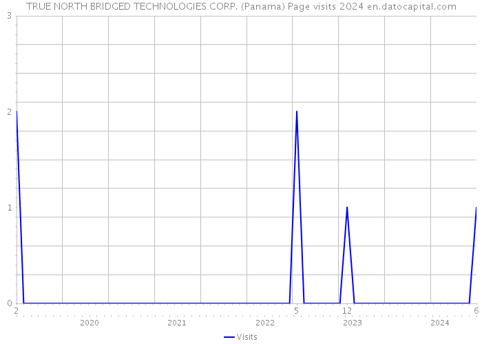 TRUE NORTH BRIDGED TECHNOLOGIES CORP. (Panama) Page visits 2024 