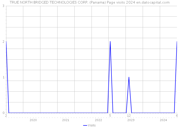 TRUE NORTH BRIDGED TECHNOLOGIES CORP. (Panama) Page visits 2024 