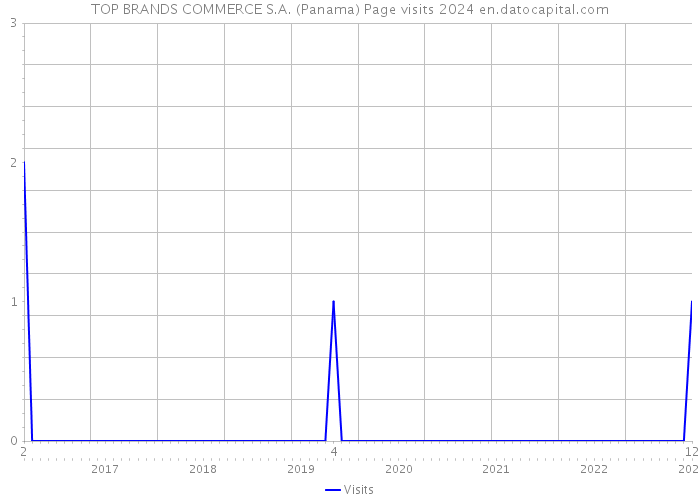 TOP BRANDS COMMERCE S.A. (Panama) Page visits 2024 