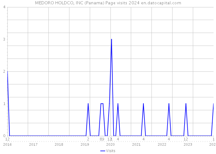 MEDORO HOLDCO, INC (Panama) Page visits 2024 