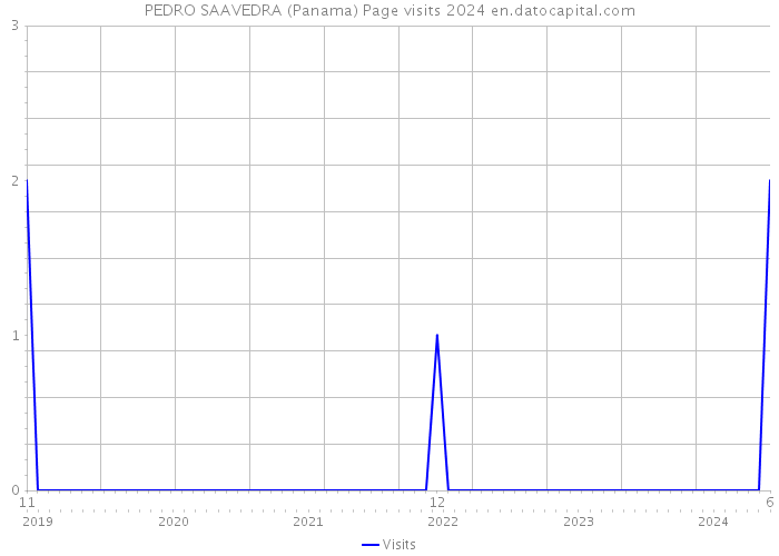 PEDRO SAAVEDRA (Panama) Page visits 2024 