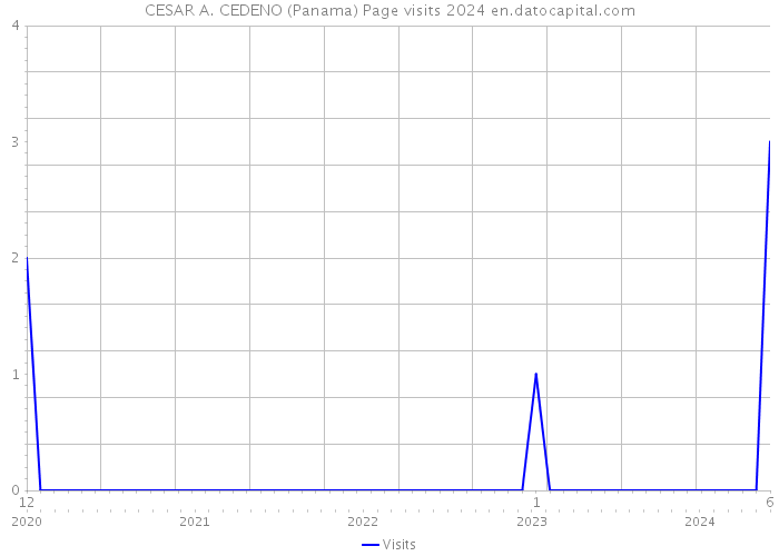 CESAR A. CEDENO (Panama) Page visits 2024 