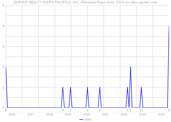 DUPONT REALTY PUNTA PACIFICA, INC. (Panama) Page visits 2024 