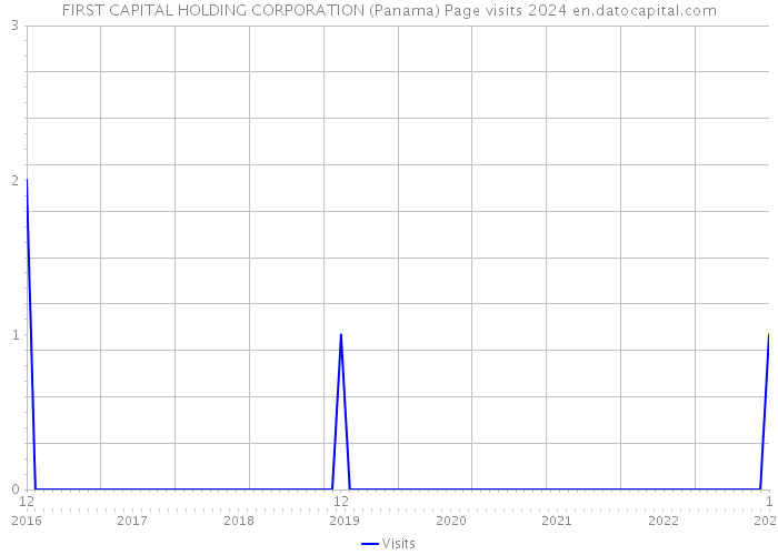 FIRST CAPITAL HOLDING CORPORATION (Panama) Page visits 2024 