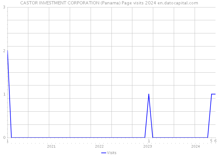 CASTOR INVESTMENT CORPORATION (Panama) Page visits 2024 