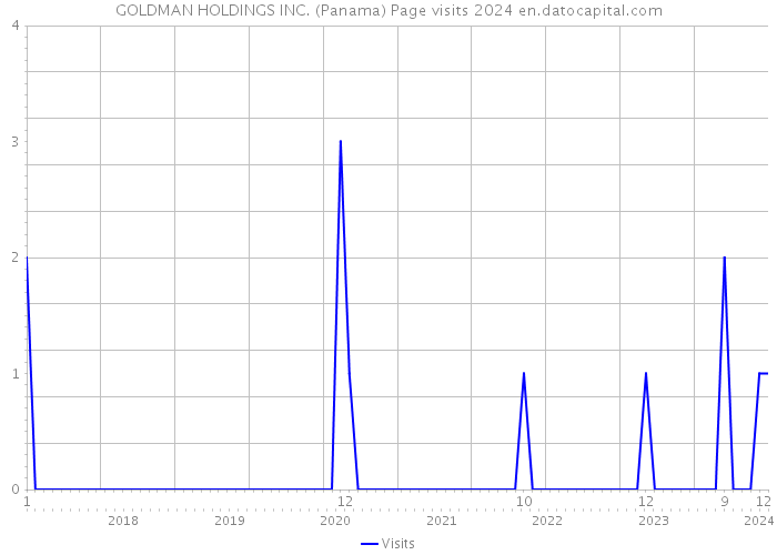GOLDMAN HOLDINGS INC. (Panama) Page visits 2024 