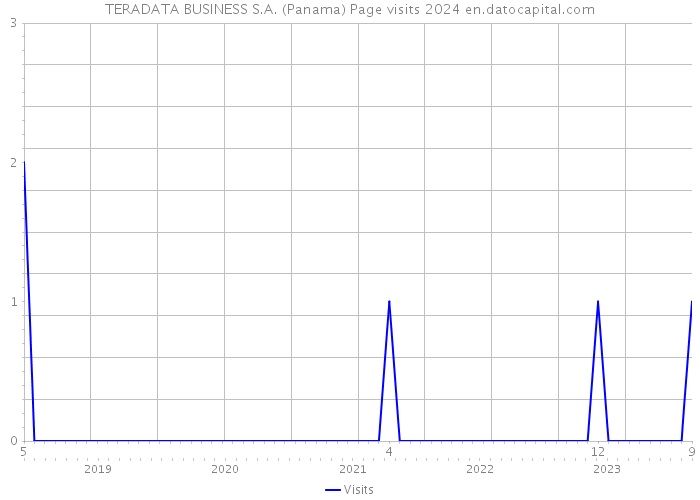 TERADATA BUSINESS S.A. (Panama) Page visits 2024 