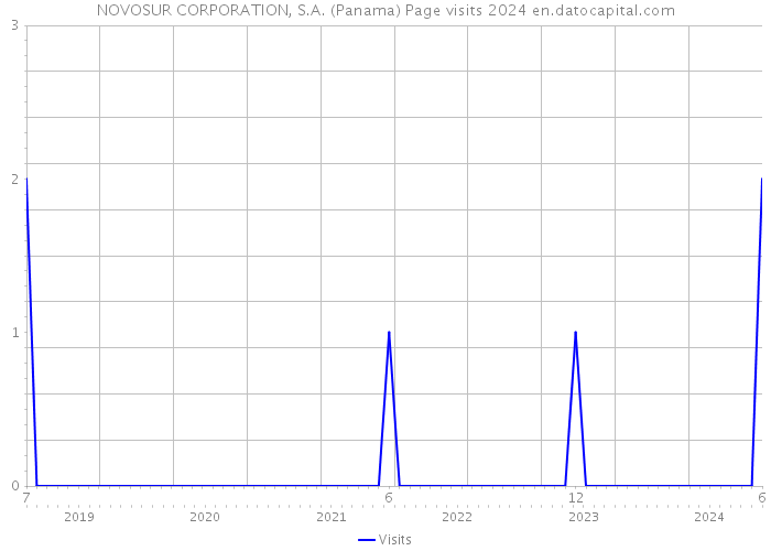 NOVOSUR CORPORATION, S.A. (Panama) Page visits 2024 