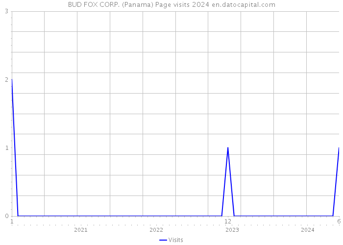BUD FOX CORP. (Panama) Page visits 2024 