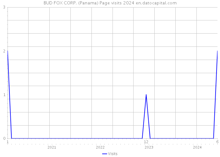 BUD FOX CORP. (Panama) Page visits 2024 
