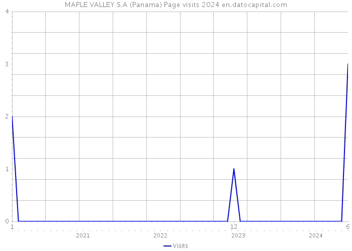 MAPLE VALLEY S.A (Panama) Page visits 2024 