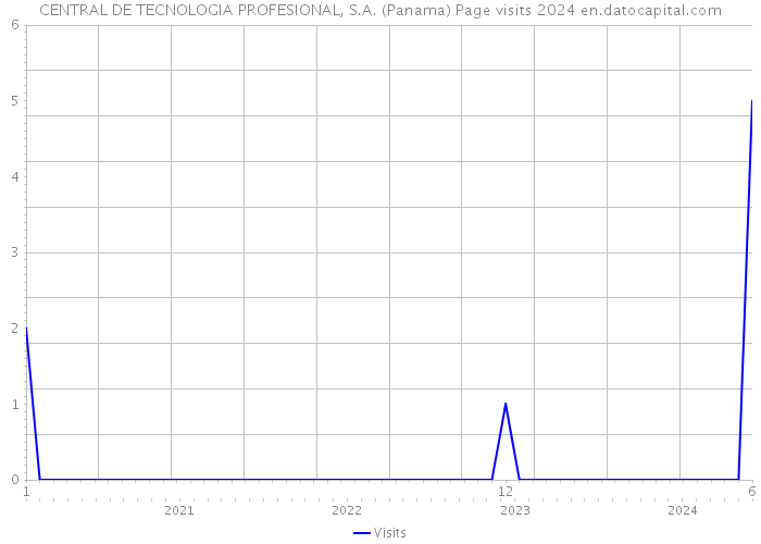 CENTRAL DE TECNOLOGIA PROFESIONAL, S.A. (Panama) Page visits 2024 