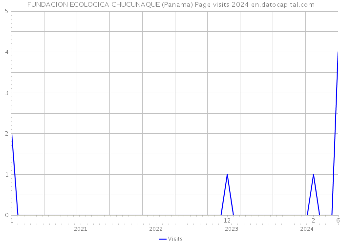 FUNDACION ECOLOGICA CHUCUNAQUE (Panama) Page visits 2024 