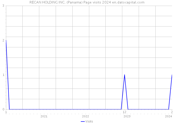 RECAN HOLDING INC. (Panama) Page visits 2024 