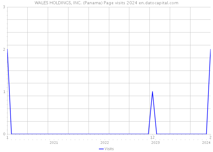 WALES HOLDINGS, INC. (Panama) Page visits 2024 