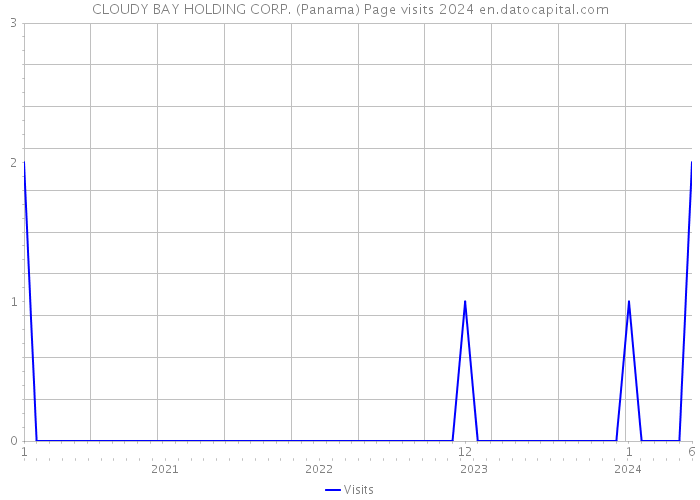CLOUDY BAY HOLDING CORP. (Panama) Page visits 2024 