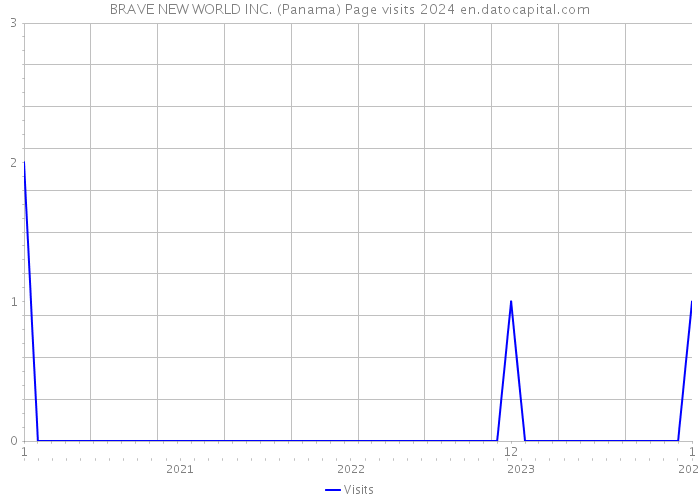 BRAVE NEW WORLD INC. (Panama) Page visits 2024 