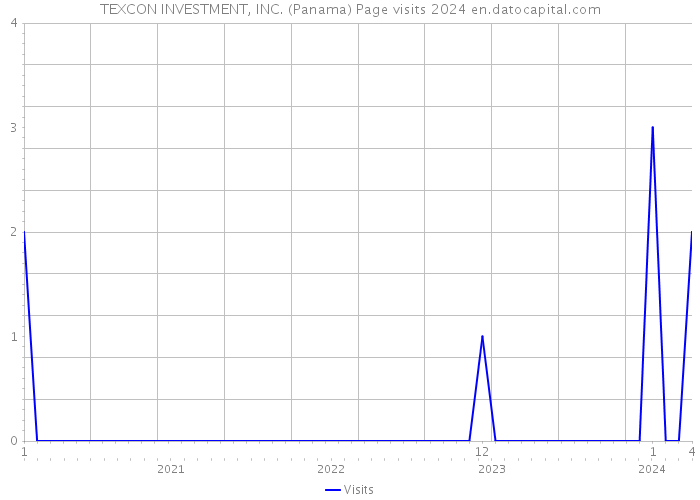 TEXCON INVESTMENT, INC. (Panama) Page visits 2024 