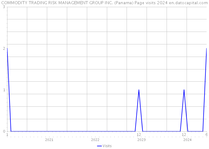 COMMODITY TRADING RISK MANAGEMENT GROUP INC. (Panama) Page visits 2024 