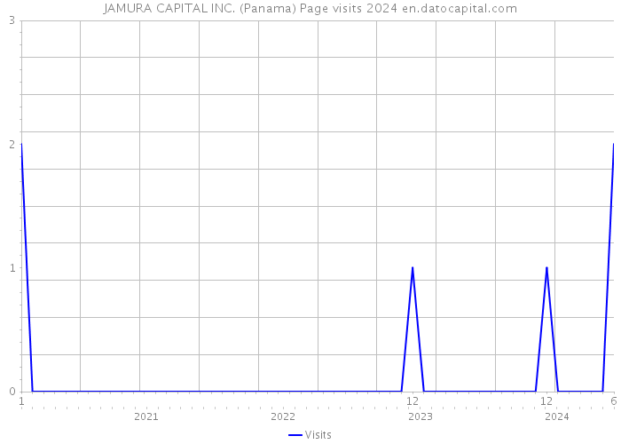 JAMURA CAPITAL INC. (Panama) Page visits 2024 