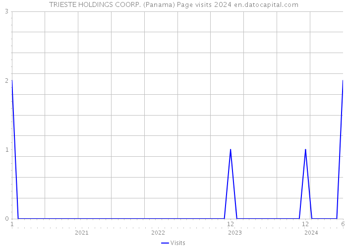 TRIESTE HOLDINGS COORP. (Panama) Page visits 2024 
