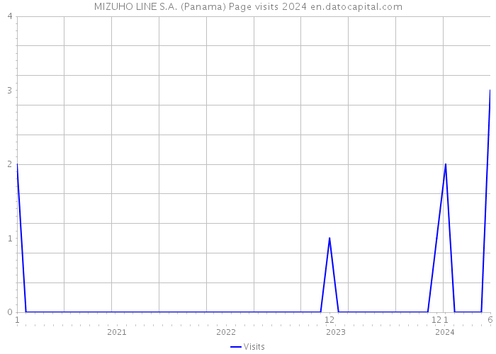 MIZUHO LINE S.A. (Panama) Page visits 2024 