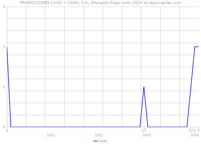 PROMOCIONES CANO Y CANO, S.A., (Panama) Page visits 2024 