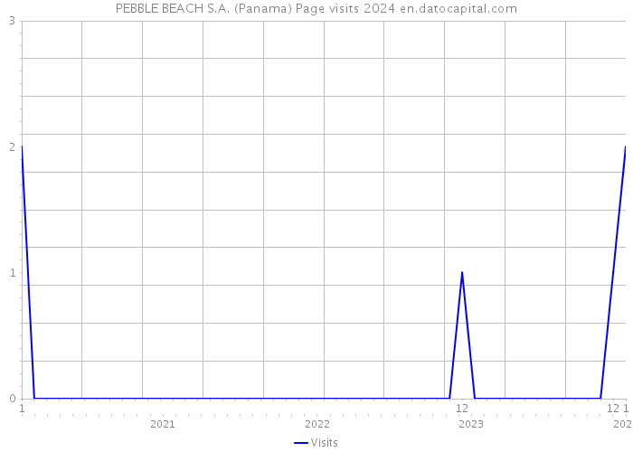 PEBBLE BEACH S.A. (Panama) Page visits 2024 