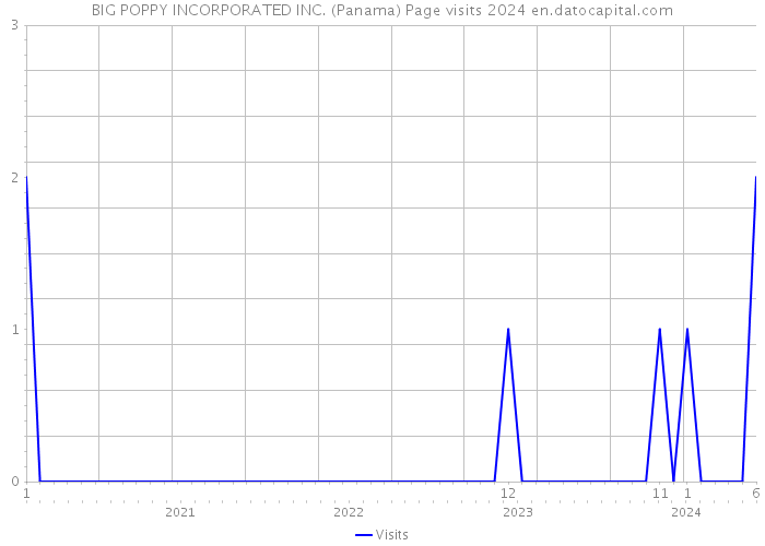 BIG POPPY INCORPORATED INC. (Panama) Page visits 2024 