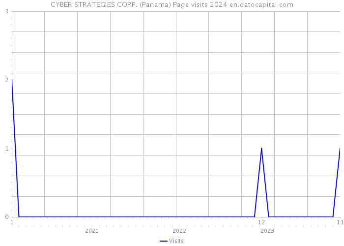 CYBER STRATEGIES CORP. (Panama) Page visits 2024 