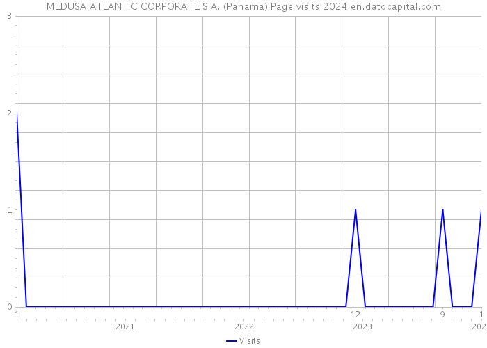 MEDUSA ATLANTIC CORPORATE S.A. (Panama) Page visits 2024 