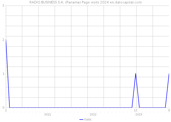RADIO BUSINESS S.A. (Panama) Page visits 2024 