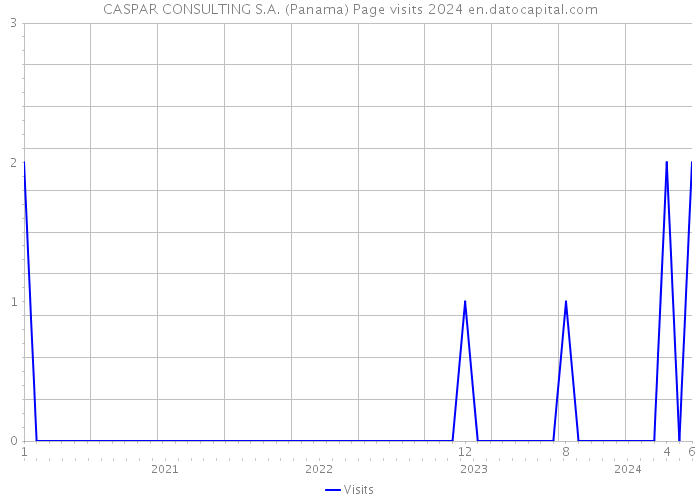 CASPAR CONSULTING S.A. (Panama) Page visits 2024 